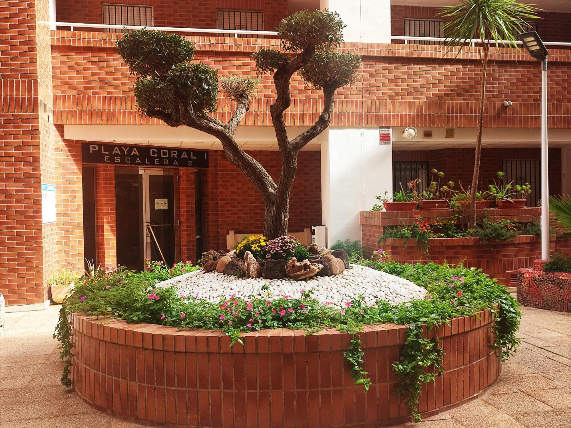 Apartmán Apcostas Playa Coral - Costa Marfil Oropesa del Mar Exteriér fotografie